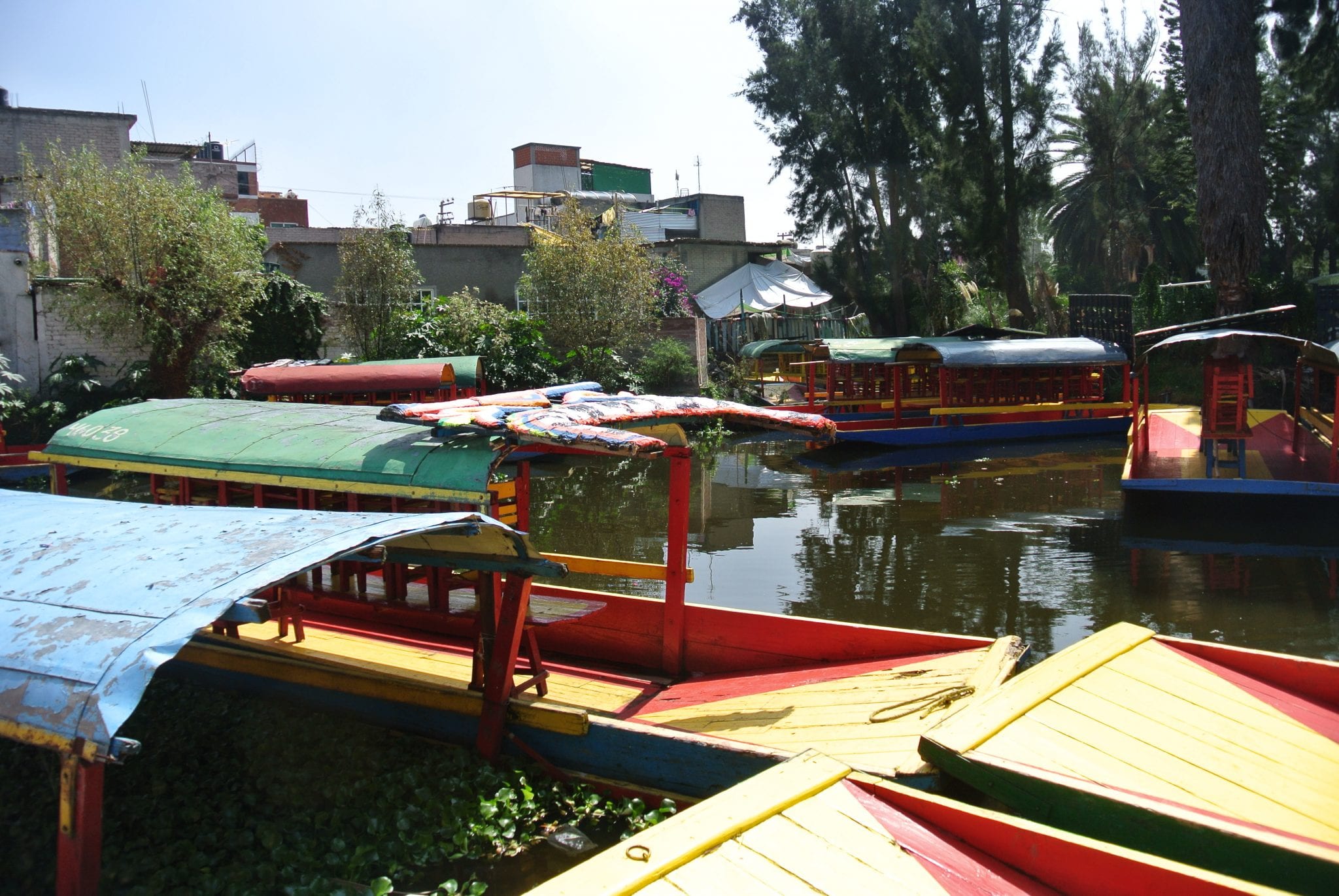 How to Visit the Floating Gardens of Xochimilco Man Vs Globe
