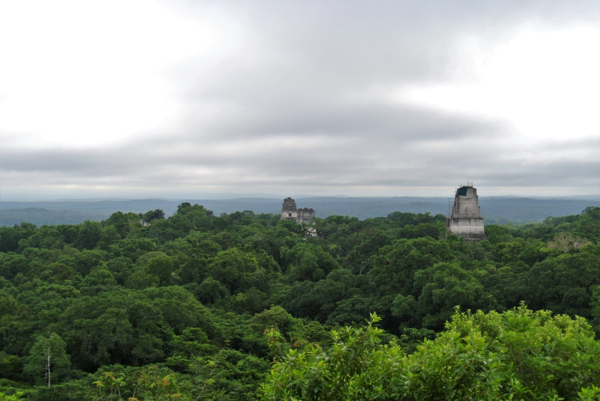 view from temple 4 tikal guatemala