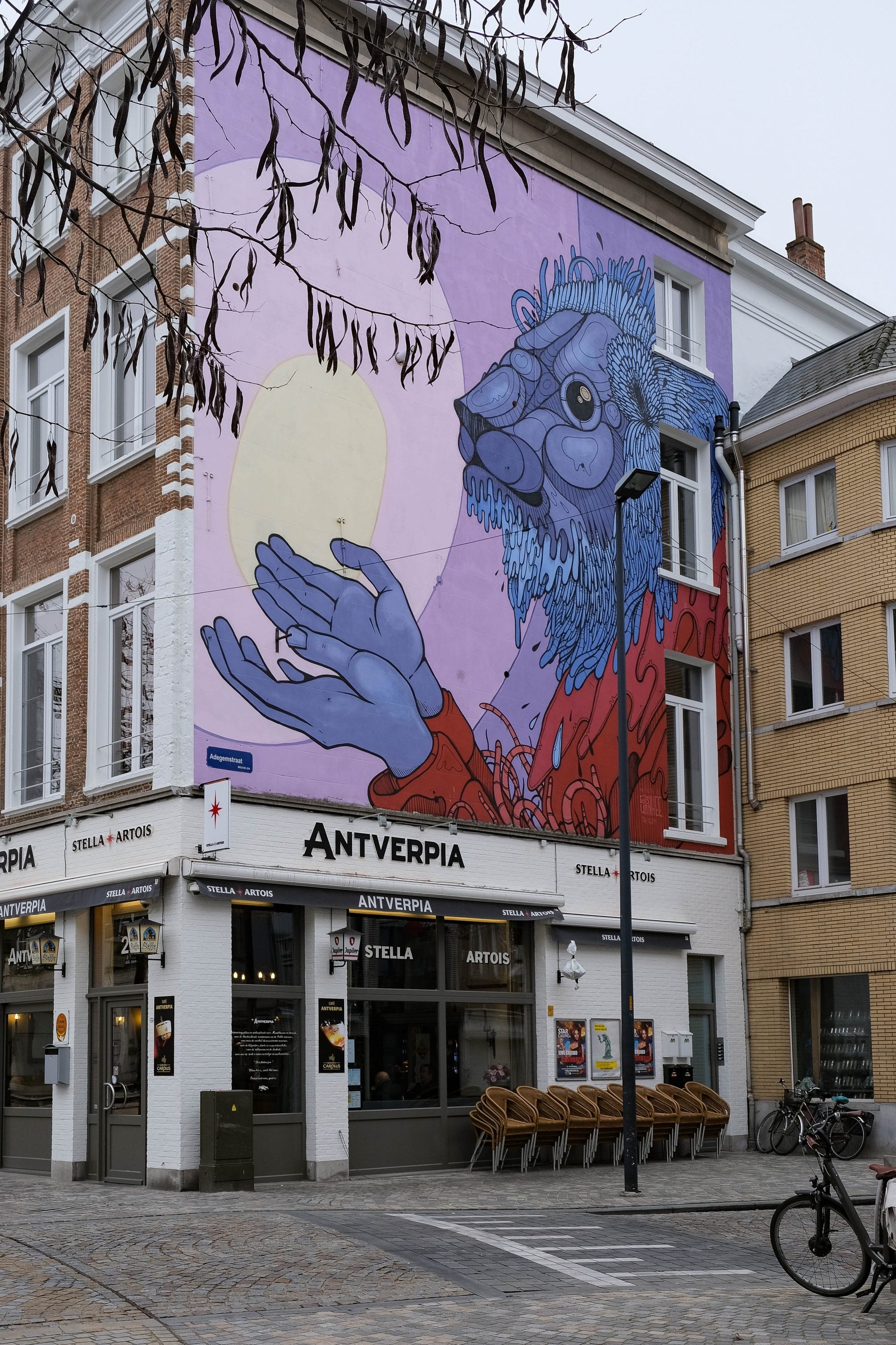 Cafe Antverpia