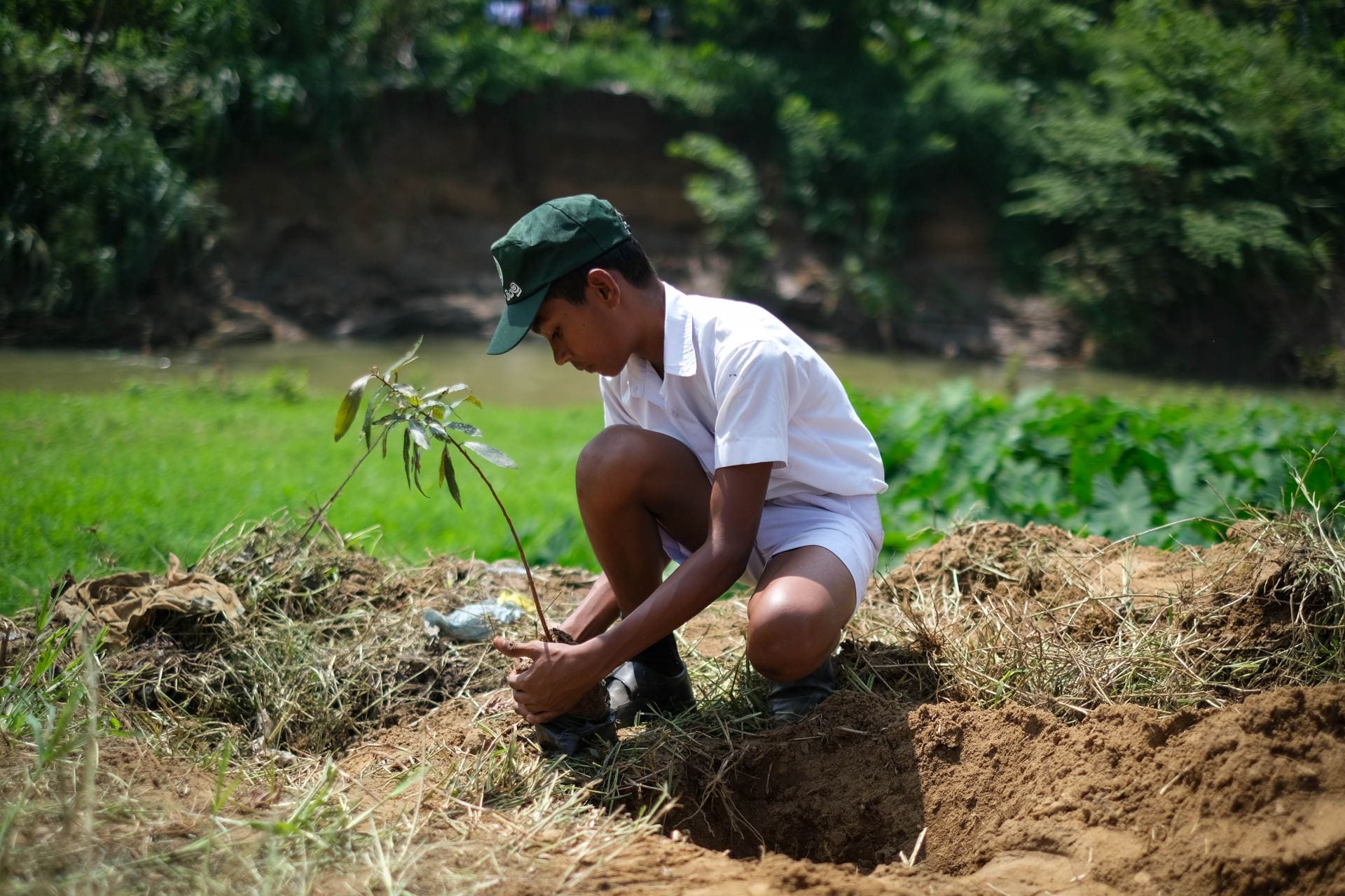 A School kid planting trees in Badulla, Sri Lanka