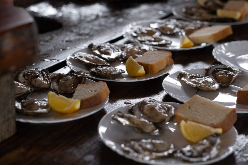 Fresh Oysters caught in the bay of Mali Ston, Croatia