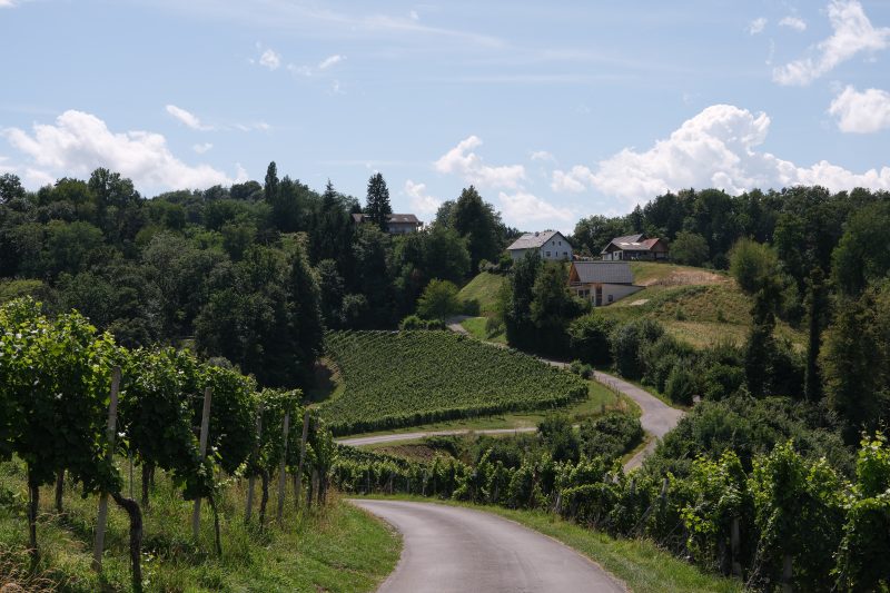 The Wine road of South Styria